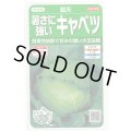 送料無料　[キャベツ]　藍天　0.8ml（約85粒）（株）サカタのタネ　実咲450（003731）
