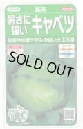送料無料　[キャベツ]　藍天　0.8ml（約85粒）（株）サカタのタネ　実咲450（003731）