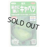 送料無料　[キャベツ]　藍天　0.8ml（約85粒）（株）サカタのタネ　実咲450（003731）