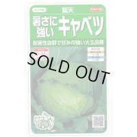 送料無料　[キャベツ]　藍天　0.8ml（約85粒）（株）サカタのタネ　実咲450（003731）
