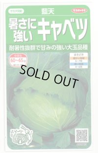 送料無料　[キャベツ]　藍天　0.8ml（約85粒）（株）サカタのタネ　実咲450（003731）