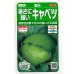 画像1: 送料無料　[キャベツ]　藍天　0.8ml（約85粒）（株）サカタのタネ　実咲450（003731） (1)
