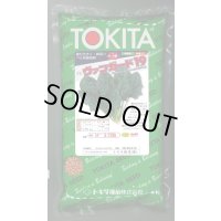 ほうれんそう　ヴァンガード19　種子サイズM：3万粒　トキタ種苗（株）