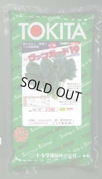 ほうれんそう　ヴァンガード19　種子サイズM：3万粒　トキタ種苗（株）
