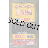 送料無料　[とうもろこし]　ミルキーシュガー85　2000粒　トキタ種苗(株)