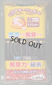 送料無料　[とうもろこし]　ミルキーシュガー85　2000粒　トキタ種苗(株)