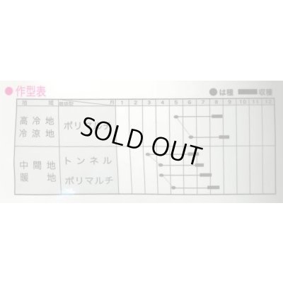 画像2: 送料無料　[とうもろこし]　ミルキーシュガー85　2000粒　トキタ種苗(株)