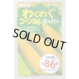 送料無料　[とうもろこし]　わくわくコーン86スーパー　100粒　カネコ種苗（株）