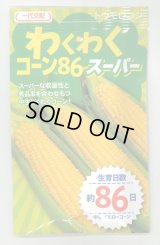 送料無料　[とうもろこし]　わくわくコーン86スーパー　100粒　カネコ種苗（株）