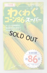送料無料　[とうもろこし]　わくわくコーン86スーパー　100粒　カネコ種苗（株）