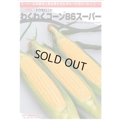画像2: 送料無料　[とうもろこし]　わくわくコーン86スーパー　2000粒　カネコ種苗（株）
