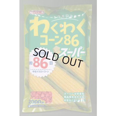 画像1: 送料無料　[とうもろこし]　わくわくコーン86スーパー　2000粒　カネコ種苗（株）
