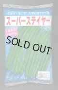 [いんげん]　スーパーステイヤー　1L（10％増量）ヴィルモランみかど