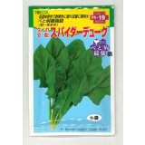 ほうれんそう　スパイダーデューク　小袋(30ml)　トキタ種苗(株)