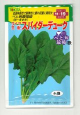 ほうれんそう　スパイダーデューク　小袋(30ml)　トキタ種苗(株)
