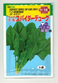 ほうれんそう　スパイダーデューク　小袋(30ml)　トキタ種苗(株)
