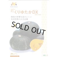 送料無料　[かぼちゃ]　くりゆたかDX　8粒　ヴィルモランみかど（株）