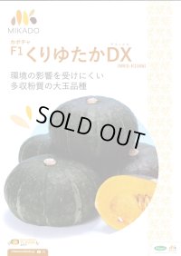 送料無料　[かぼちゃ]　くりゆたかDX　8粒　ヴィルモランみかど（株）
