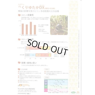 画像2: 送料無料　[かぼちゃ]　くりゆたかDX　8粒　ヴィルモランみかど（株）