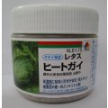 送料無料　[レタス]　ヒートガイ　ペレット5千粒　タキイ種苗(株)