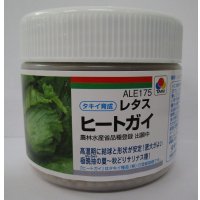 送料無料　[レタス]　ヒートガイ　ペレット5千粒　タキイ種苗(株)