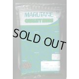 送料無料　[牛蒡]　大浦太　1L（10%増量）丸種（株）