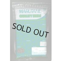 送料無料　[牛蒡]　大浦太　1L（10%増量）丸種（株）