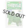 [ほうれんそう]　サラダほうれんそう（トリトン）　約900粒（株）サカタのタネ　実咲350（003732）