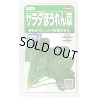 [ほうれんそう]　サラダほうれんそう（トリトン）　約900粒（株）サカタのタネ　実咲350（003732）