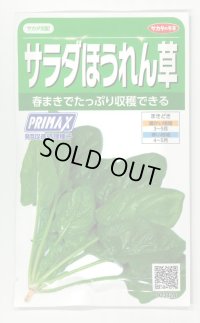[ほうれんそう]　サラダほうれんそう（トリトン）　約900粒（株）サカタのタネ　実咲350（003732）