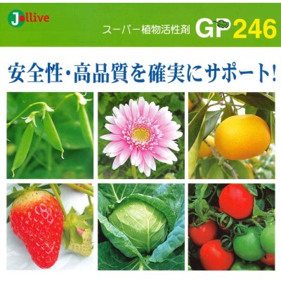 画像3: 肥料　活性剤　GP246　1000ml