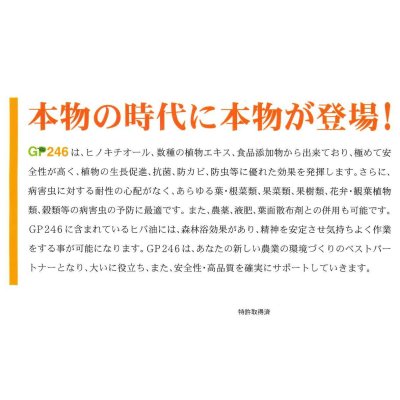 画像4: 肥料　活性剤　GP246　1000ml