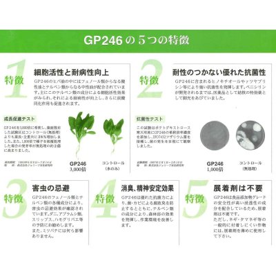 画像5: 肥料　活性剤　GP246　1000ml