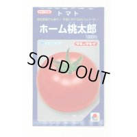 送料無料　[トマト/桃太郎系]　ホーム桃太郎　1000粒　タキイ種苗(株)