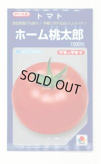 送料無料　[トマト/桃太郎系]　ホーム桃太郎　1000粒　タキイ種苗(株)