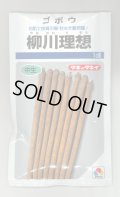 送料無料　[牛蒡]　柳川理想　1dl　タキイ種苗　
