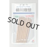 送料無料　[牛蒡]　柳川理想　1dl　タキイ種苗　