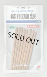 送料無料　[牛蒡]　柳川理想　1dl　タキイ種苗　