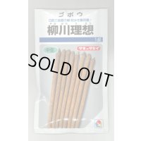送料無料　[牛蒡]　柳川理想　1dl　タキイ種苗　