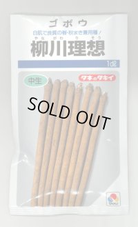 送料無料　[牛蒡]　柳川理想　1dl　タキイ種苗　