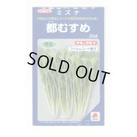 水菜 都むすめ 20ml タキイ種苗(株)