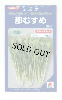 水菜 都むすめ 20ml タキイ種苗(株)
