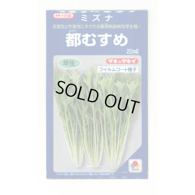 画像1: 水菜 都むすめ 20ml タキイ種苗(株)