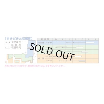 画像2: 送料無料　[オクラ]　グリーンソード　1000粒　タキイ種苗(株)