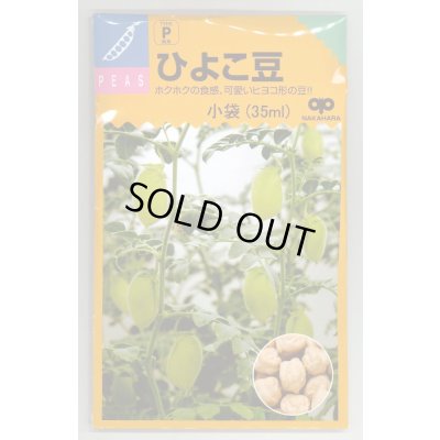 画像1: 送料無料　[豆類]　ひよこ豆　小袋（35ml）　中原採種場（株）