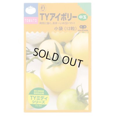 画像1: 送料無料　[トマト/ミニトマト]　TYアイボリー　12粒　中原採種場（株）