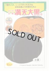 [かぼちゃ]　ミニカボチャ　満天大黒　7粒　　トキタ種苗（株）