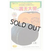 [かぼちゃ]　ミニカボチャ　満天大黒　7粒　　トキタ種苗（株）