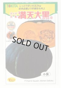 [かぼちゃ]　ミニカボチャ　満天大黒　7粒　　トキタ種苗（株）