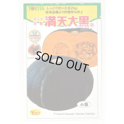 画像1: [かぼちゃ]　ミニカボチャ　満天大黒　7粒　　トキタ種苗（株）